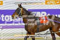 2026_PACEPIX_GP08092026_RACE5_PrincessDiamond_WIN_WEB-17