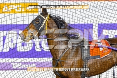 2026_PACEPIX_GP08092026_RACE5_PrincessDiamond_WIN_WEB-18