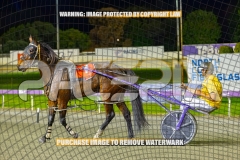 2026_PACEPIX_GP08092026_RACE5_PrincessDiamond_WIN_WEB-19