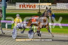 2026_PACEPIX_GP08092026_RACE5_PrincessDiamond_WIN_WEB-2