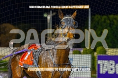 2026_PACEPIX_GP08092026_RACE5_PrincessDiamond_WIN_WEB-21