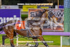 2026_PACEPIX_GP08092026_RACE5_PrincessDiamond_WIN_WEB-4