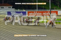 2026_PACEPIX_GP08092026_RACE5_PrincessDiamond_WIN_WEB-8