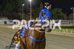 Rockandrollartist_13-03-2026_WIN_Gloucester-Park_5__11