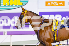 2026_PACEPIX_GP20022026_WEB-77