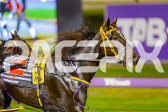 2025_PACEPIX_GP16052025_Race5_RubyLovera_WIN_WEB-1