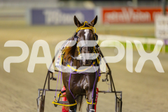 2025_PACEPIX_GP16052025_Race5_RubyLovera_WIN_WEB-41
