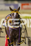 2025_PACEPIX_GP16052025_Race5_RubyLovera_WIN_WEB-42