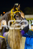 2025_PACEPIX_GP16052025_Race5_RubyLovera_WIN_WEB-44