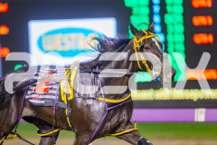 2025_PACEPIX_GP16052025_Race5_RubyLovera_WIN_WEB-6