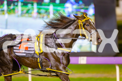 2025_PACEPIX_GP16052025_Race5_RubyLovera_WIN_WEB-7