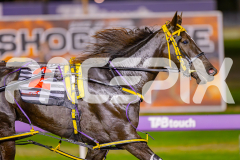 2025_PACEPIX_GP16052025_Race5_RubyLovera_WIN_WEB-8