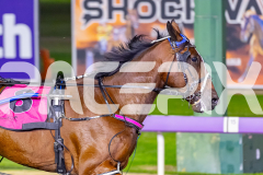RACE 5 - Rumble Strip