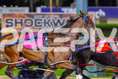 2026_PACEPIX_GP05052026_Race5_RumbleStrip_WIN_WEB-3