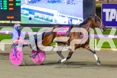 2026_PACEPIX_GP05052026_Race5_RumbleStrip_WIN_WEB-8
