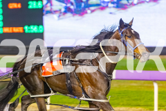 2025_Pacepix_GP31132025_Race5_RunkleCrunch_WIN_WEB-12
