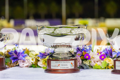 2025_Pacepix_GP31132025_Race5_RunkleCrunch_WIN_WEB-2