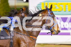 2025_PACEPIX_GP29082025_RACE5_Saifa_WIN_WEB-11