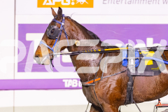 2025_PACEPIX_GP29082025_RACE5_Saifa_WIN_WEB-14