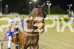 2025_PACEPIX_GP29082025_RACE5_Saifa_WIN_WEB-15