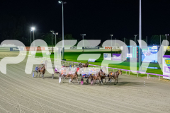 2025_PACEPIX_GP29082025_RACE5_Saifa_WIN_WEB-21