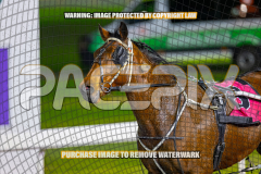 2026_Pacepix_GP21082026_Race5_ScooterB_WIN_WEB-13