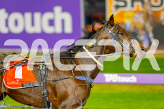 2025_PACEPIX_GP23052025_Race5_SeasideMagic_WIN_WEB-20