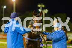 2025_PACEPIX_GP23052025_Race5_SeasideMagic_WIN_WEB-28