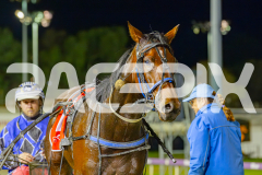 2025_PACEPIX_GP23052025_Race5_SeasideMagic_WIN_WEB-30