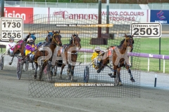 RACE 5 - Sheer Rock lady