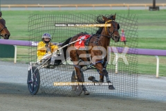 Sheer-Rock-lady_20-10-2026_WIN_Gloucester-Park_5__03