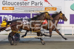 Sheer-Rock-lady_20-10-2026_WIN_Gloucester-Park_5__10