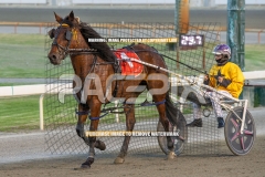 Sheer-Rock-lady_20-10-2026_WIN_Gloucester-Park_5__13