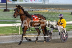 Sheer-Rock-lady_20-10-2026_WIN_Gloucester-Park_5__14