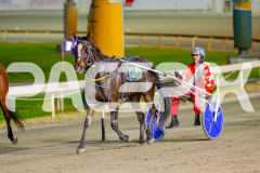2025_PACEPIX_GP13052025_Race5_ShesAMare_WIN_WEB-10