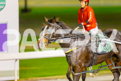 2025_PACEPIX_GP13052025_Race5_ShesAMare_WIN_WEB-11