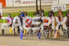 2025_PACEPIX_GP13052025_Race5_ShesAMare_WIN_WEB-3