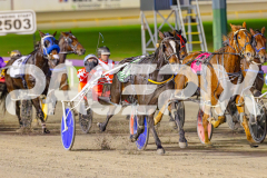 2025_PACEPIX_GP13052025_Race5_ShesAMare_WIN_WEB-4