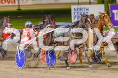 2025_PACEPIX_GP13052025_Race5_ShesAMare_WIN_WEB-5