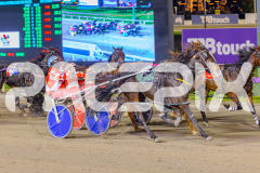 2025_PACEPIX_GP13052025_Race5_ShesAMare_WIN_WEB-6