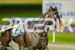 2025_PACEPIX_GP13052025_Race5_ShesAMare_WIN_WEB-9