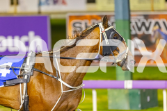 2025_PACEPIX_GP16092025_Race5_Sidstrepo_WIN_WEB-10
