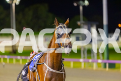 2025_PACEPIX_GP16092025_Race5_Sidstrepo_WIN_WEB-15