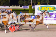 2025_PACEPIX_GP16092025_Race5_Sidstrepo_WIN_WEB-8