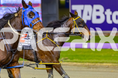 2026_PACEPIX_GP26052026_RACE5_SisterCherie_WIN_WEB-11