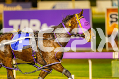 2025_PACEPIX_GP01072025_Race5_SoundWave_WIN_WEB-12