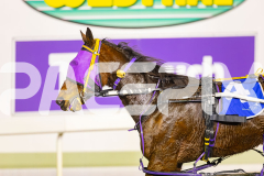 2025_PACEPIX_GP01072025_Race5_SoundWave_WIN_WEB-15