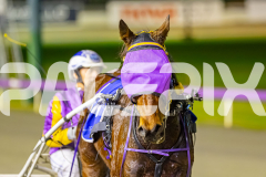 2025_PACEPIX_GP01072025_Race5_SoundWave_WIN_WEB-17