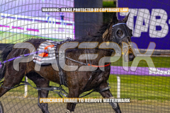 2026_Pacepix_GP18082026_Race5_SportingGrace_WIN_WEB-15