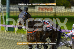 2026_Pacepix_GP18082026_Race5_SportingGrace_WIN_WEB-19